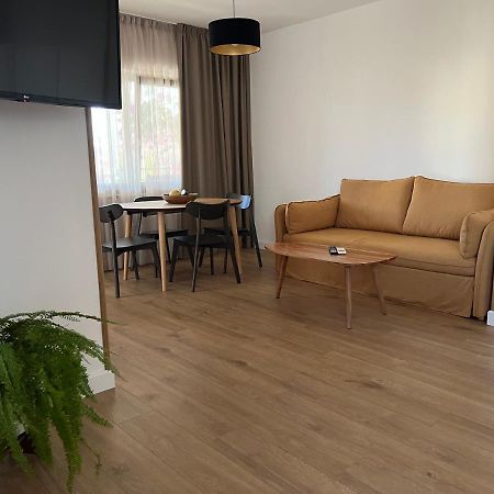 Paola Cozy Studio 罗维尼 外观 照片